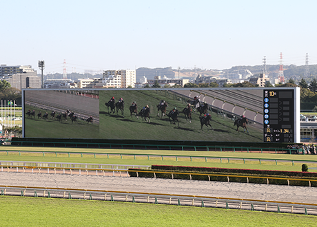 競馬中継のイメージ