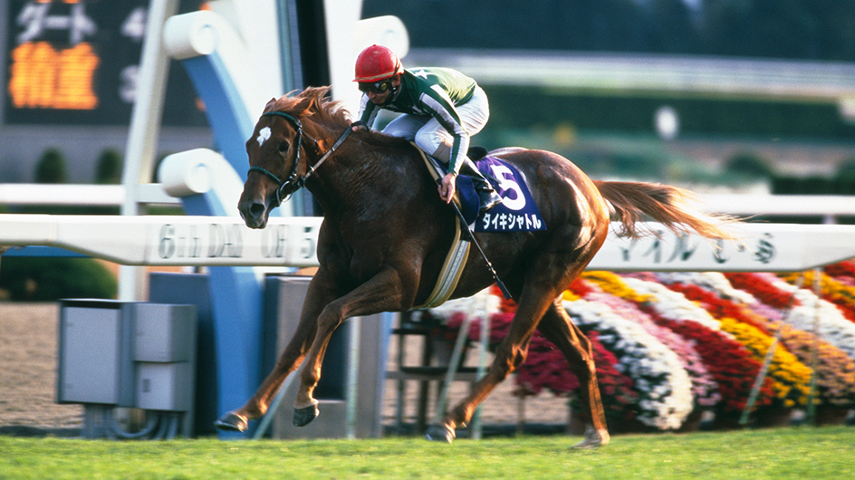 330px-2010_Kokura_Kinen.jpg