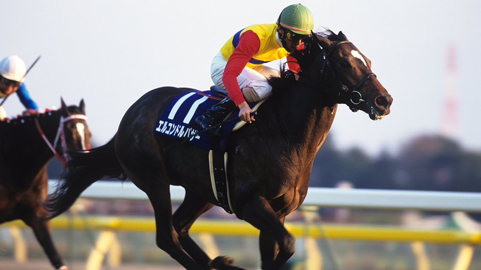 中央競馬(JRA)年度代表馬【1983年度～1998年度】写真16枚セット 中央競馬(JRA)年度代表馬【1983年度～1998年度】写真16枚セット