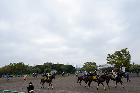 取材活動の模様1